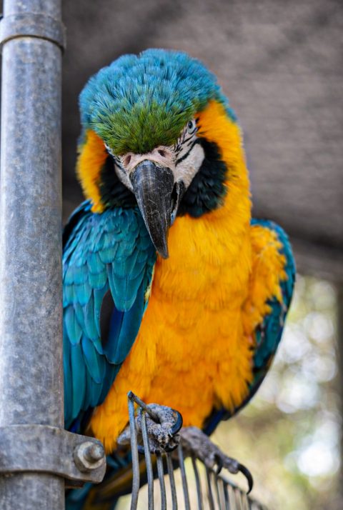 Featured Image